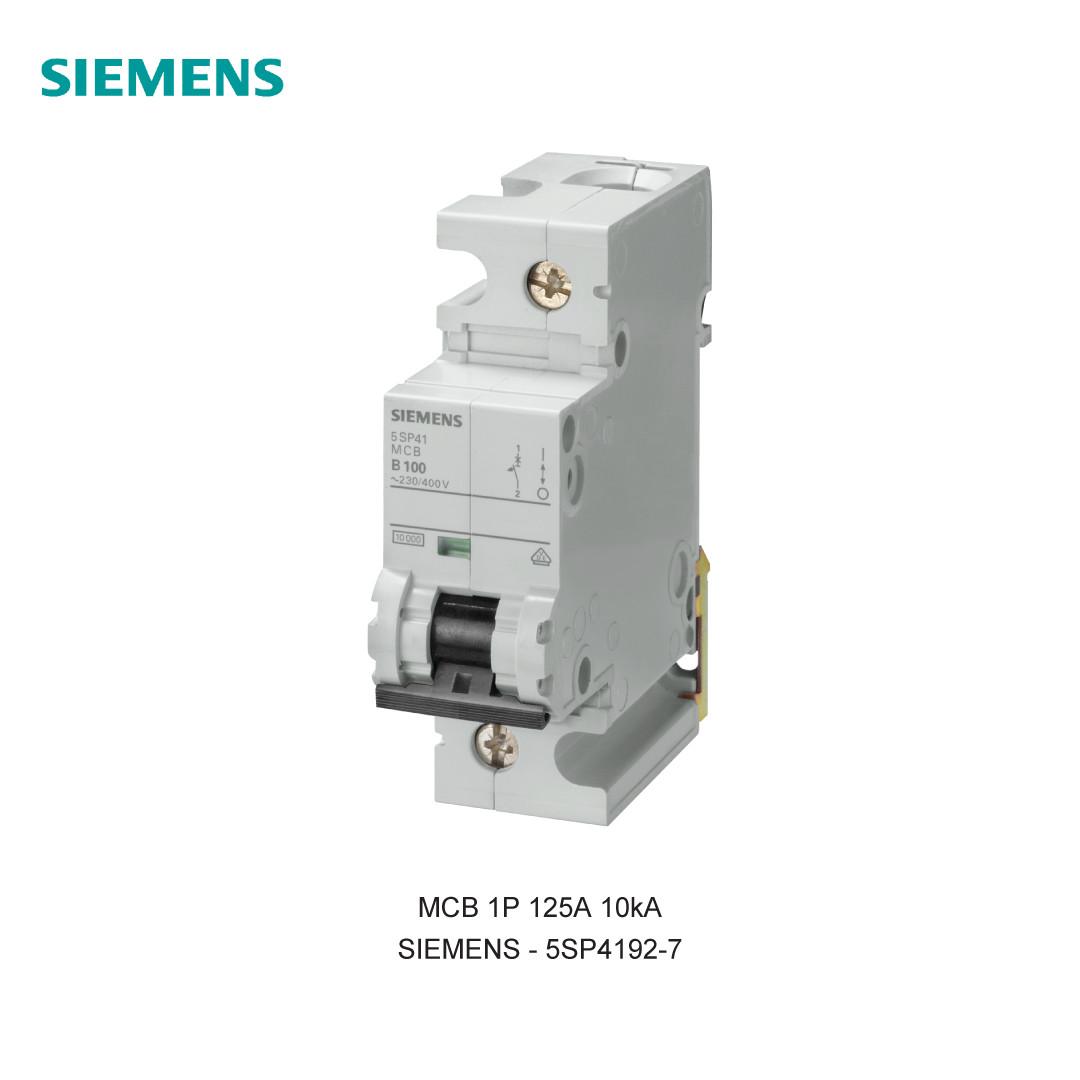 MCB 1P 125A 10kA