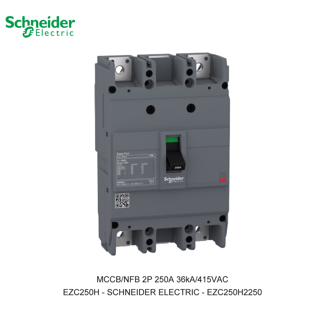 MCCB/NFB 2P 250A 36KA/415VAC